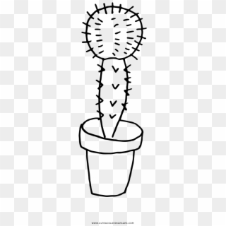 Cactus Coloring Page - Cactus, HD Png Download