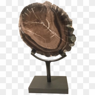 Petrified Wood Slice On Stand On Chairish - Trophy, HD Png Download