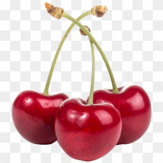 Searchpng On December 1, - Cherry, Transparent Png