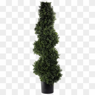 45 Artificial Deluxe Spiral Boxwood Topiary , Png Download - Hedge, Transparent Png
