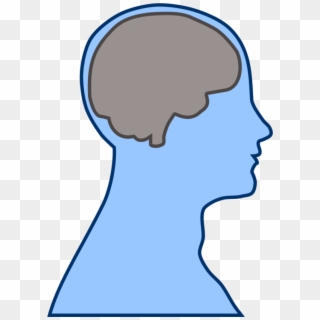 Brain Human Man - Cartoon Head With Brain, HD Png Download