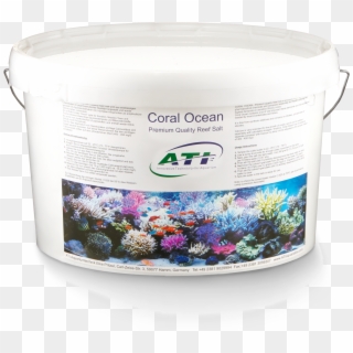 Coral Ocean - Camomile, HD Png Download