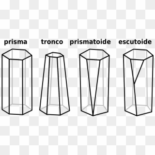 New Shape Scutoid , Png Download - Escutoide Significado, Transparent Png