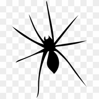 Spider Arachnophobia Arachnid - Widow Spider, HD Png Download