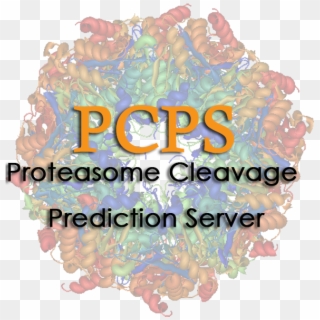 Cleavage Models - Proteasome, HD Png Download
