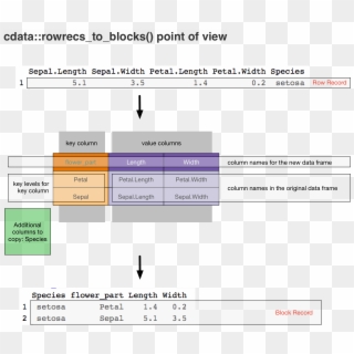 Rowrecs To Blocks - Shaping Data, HD Png Download