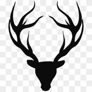 Stags Transparent, HD Png Download