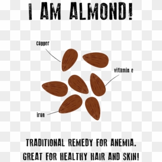 Almond - Poster, HD Png Download