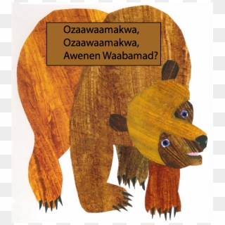 Ojibwe - Brown Bear Brown Bear What Do You See 50 Anniversary, HD Png Download