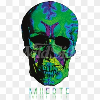 Colorful Muerte Skull - Skull, HD Png Download