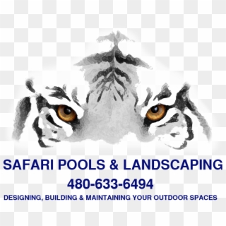 Safari Pools & Landscaping - Tiger Eyes, HD Png Download