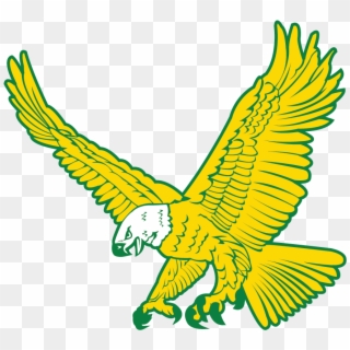 Mckenzie School District Home Of The Eagles - Golden Eagle, HD Png Download