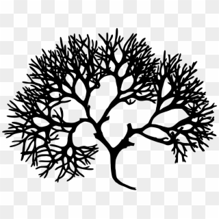 Tree With Roots Silhouette Png - Irish Moss Png, Transparent Png