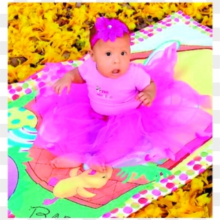 Toddler, HD Png Download