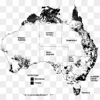 A Map Of Australia Showing Forest And Woodland In Each - Australian Map Of Forests, HD Png Download