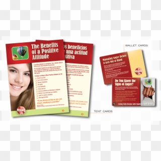 Happyness Brochures Etc 1a - Flyer, HD Png Download