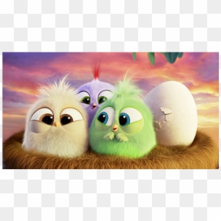 Hatchlings Are Baby Birds That Were Introduced In The - Angry Bird Hatchlings, HD Png Download
