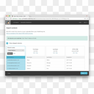 Mailchimp Import Column Match - Import Users Field From Mailchimp Web Design, HD Png Download