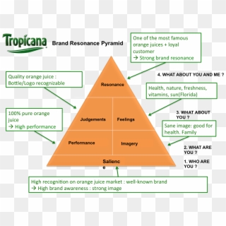 Brand Resonance Pyramid For Tropicana - Brand Identity Prism Tropicana, HD Png Download