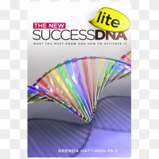 Product - Flyer, HD Png Download