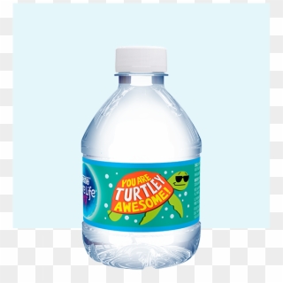 Turtley Awesome 8oz - Carbonated Soft Drinks, HD Png Download