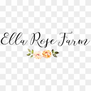 Ella Rose Calligraphy, HD Png Download