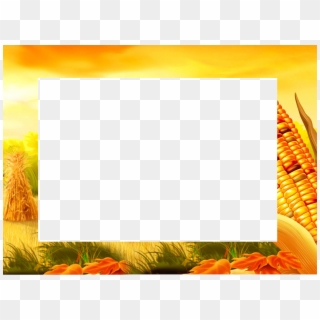 Fall Corn - Picture Frame, HD Png Download