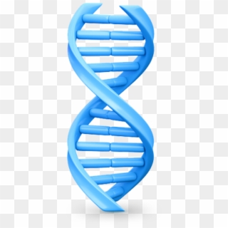 Dna Png, Download Png Image With Transparent Background, - Electric Blue, Png Download
