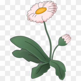 This Free Icons Png Design Of Flower Daisy, Transparent Png
