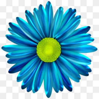 Blue Daisy Flower Png, Transparent Png
