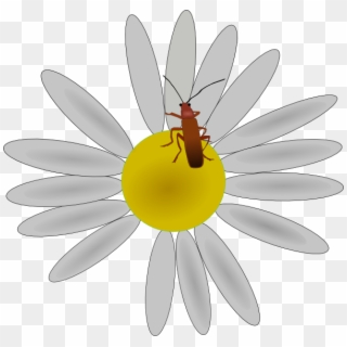 How To Set Use Bug On A Daisy Svg Vector, HD Png Download