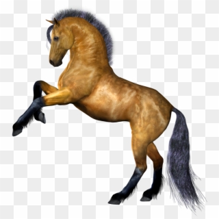 Clipart Png Horse Best - Horse Png No Background, Transparent Png