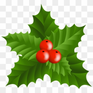 Free Png Christmas Holly Mistletoe Png Clip-art Png - Clip Art, Transparent Png