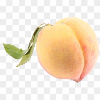 Peach Transparent Background, HD Png Download