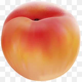 Peach, HD Png Download