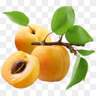 Three Peaches - Apricots Png, Transparent Png