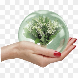 #hand #globe #freetoedit - Lily Of The Valley Gif, HD Png Download
