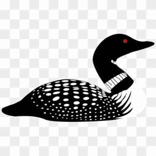 Png Loon Transparent Loon - Loon Clipart, Png Download