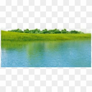 #mq #water #grass #nature #lake - Loch, HD Png Download