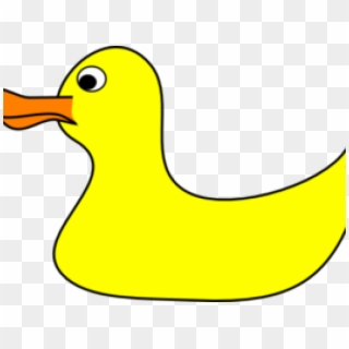 Duck Clipart Yellow - Duck, HD Png Download