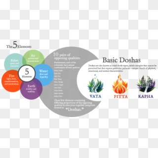 This Whole Universe Is Composed Of Five Basic Elements - Doshas Of Ayurveda, HD Png Download