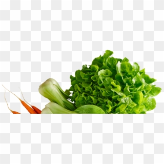 Knackiges Gemüse Von Elo - Leaf Vegetable, HD Png Download