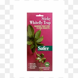 Safer® Brand Sticky Whitefly Trap - Herbal, HD Png Download