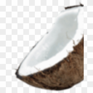Sumatera Is The Largest Coconut Producing Island In - Knife, HD Png Download