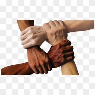 Divided We Fall - United We Stand Divided We Fall, HD Png Download