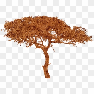 African Tree Silhouette Png, Transparent Png