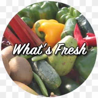 Healthyways Icon Whatsfresh Icon - Yellow Pepper, HD Png Download