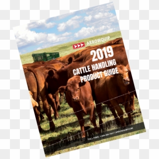 2019 Cattle Handling Catalog - Poster, HD Png Download