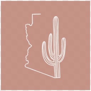 Https - //www - Bonfire - Com/arizona-cactus/ - Saguaro, HD Png Download