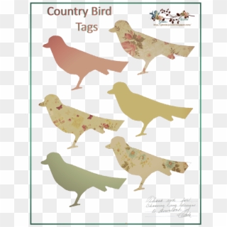 Country Birds Set Glenda's World B Wordt Weergegeven - Flock, HD Png Download